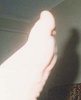 DamoParty1-kats_foot_thm.jpg (1752 bytes)